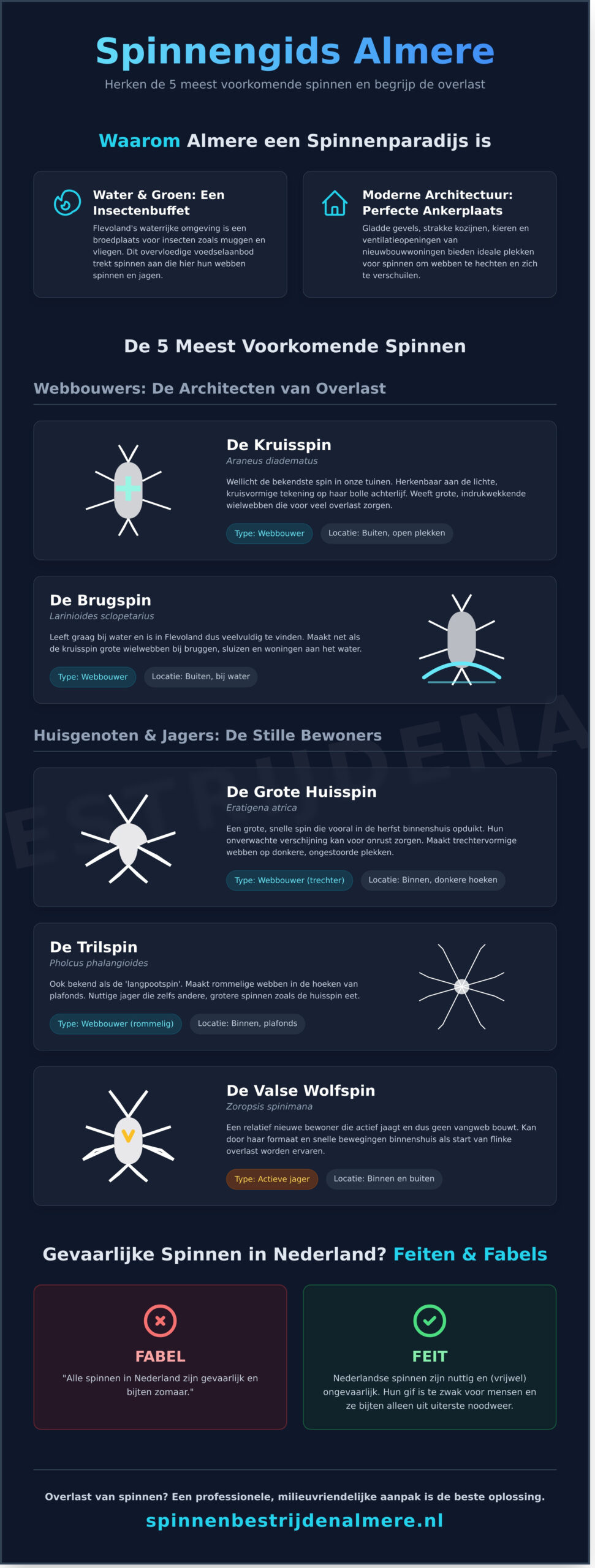 Spinnen in Nederland: Een Gids voor Almere en Flevoland (2026)