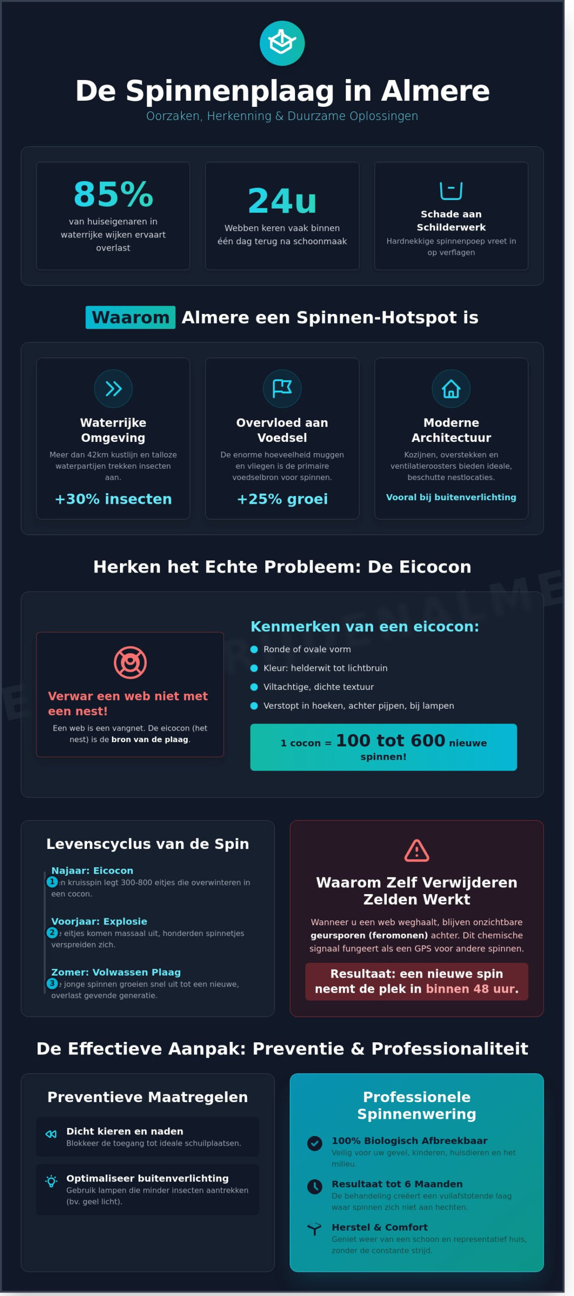Spinnennesten herkennen en verwijderen in Almere: De complete gids