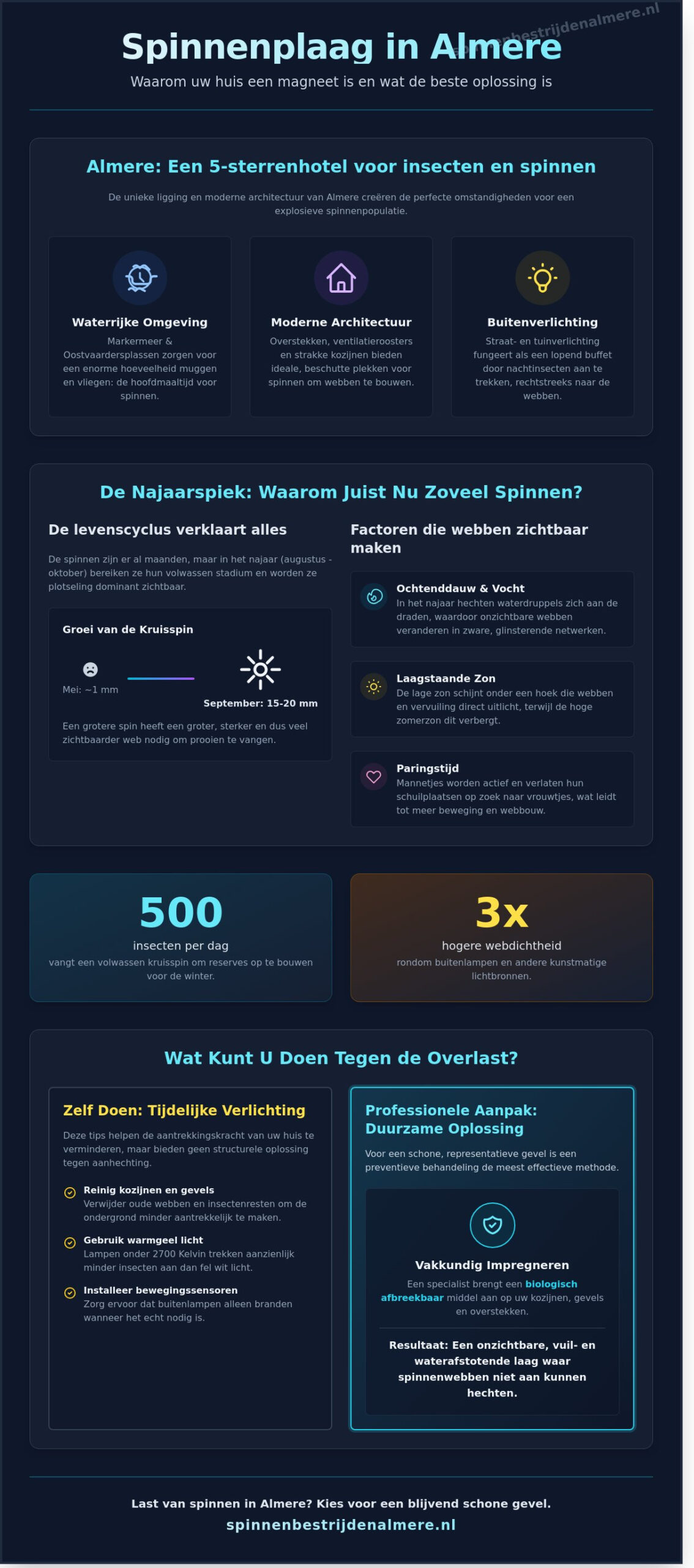 Waarom zijn er zoveel spinnenwebben rondom uw woning in Almere?
